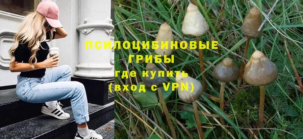 mix Козловка