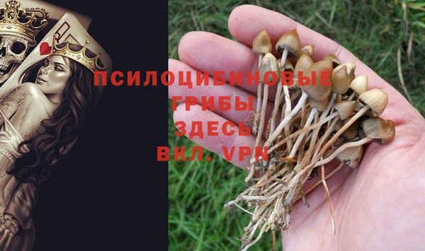 герыч Кодинск