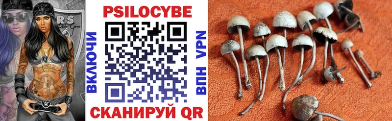 Галлюциногенные грибы мицелий  Купить где  Агрыз 